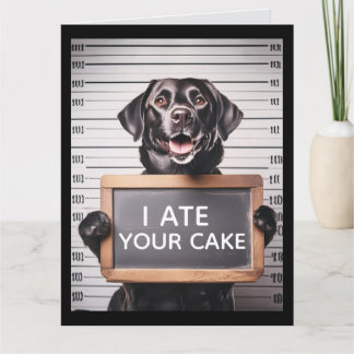 CARTÃO FUNNY DOG BRTHDAY MUGSHOT GREETING CARD