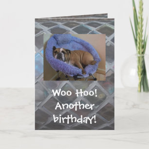 Cartão Funny English Bulldog Birthday Card