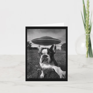 Cartão Funny French Bulldog Selfie