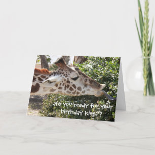 Cartão Funny Giraffe Card, ready for your birthday kiss??
