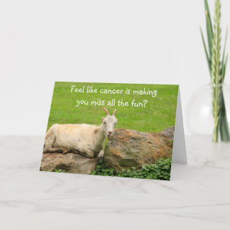 Cartão Funny Goats Cancer Support Card