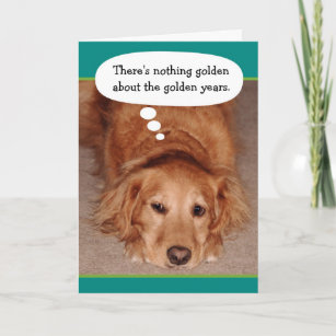 Cartão Funny Golden Oldie Golden Retriever Birthday Card