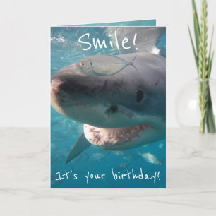Cartão Funny Great White Shark Birthday