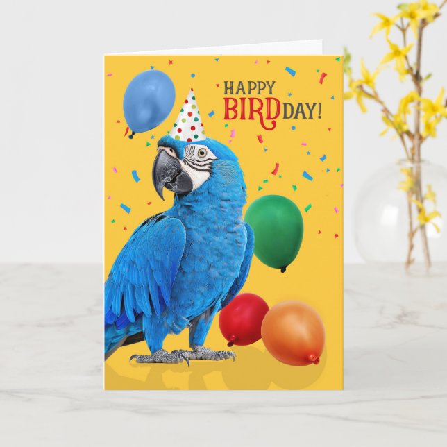 Cartão Funny Hyacinth Macaw Parrot Birthday Humor (Flor Amarela)