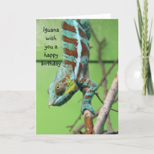 Cartão Funny Iguana Birthday Card, share the cake