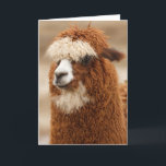 Cartão Funny Llama Birthday<br><div class="desc">Funny Llama Birthday</div>