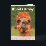 Cartão Funny Llama Wise Advice Aniversário<br><div class="desc">Alguém um pouco mais de um aniversário? Envie esta carta de lama engraçada e divertida para animá-los! Afinal,  é apenas mais um ano,  e só melhoramos com a idade. Personalize para seu gosto e aproveite. ©Christine Greenspan</div>