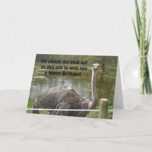 Cartão Funny Ostrich Birthday