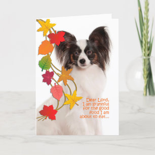 Cartão Funny Papillon Thanksgiving Card