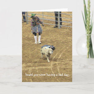 Cartão Funny Rodeo card of encouragement, mutton bustin'