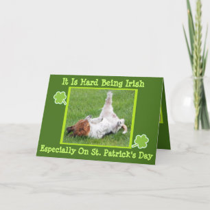 Cartão Funny St. Patrick's Day Card w/Basset & Green Beer