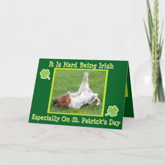 Cartão Funny St. Patrick's Day Card w/Basset & Green Beer