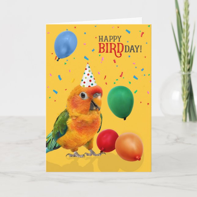 Cartão Funny Sun Conure Parrot Birthday (Frente)