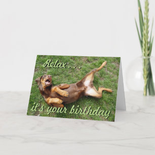 Cartão Funny sunbathing dog birthday card