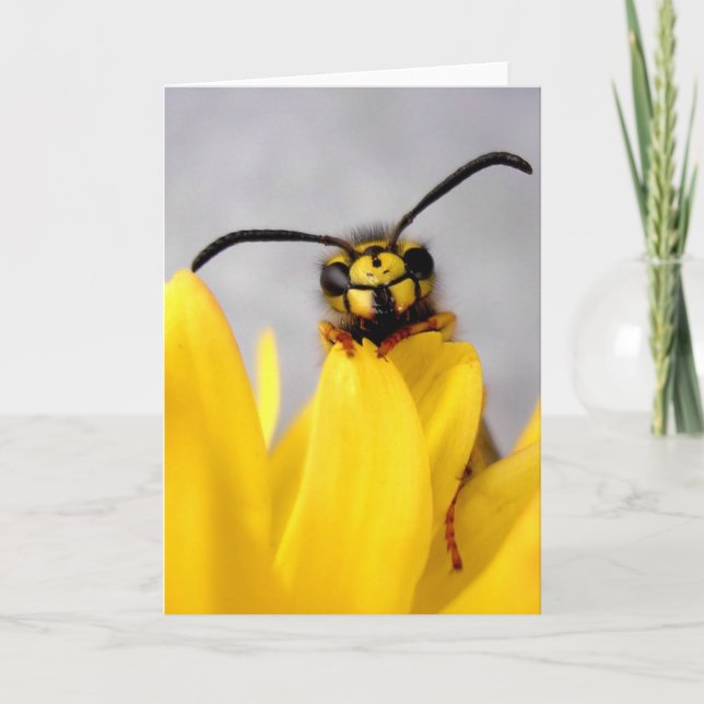 Cartão Funny Wasp Greeting Card (Frente)
