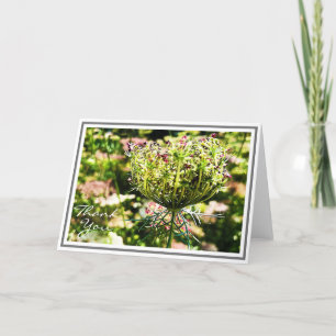 Cartão Furled Queen Anne’s Lace Flower With Green Foliage