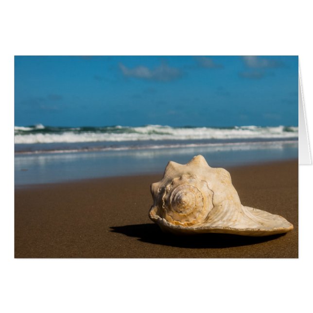 Cartão Future Beach (Frente Horizontal)