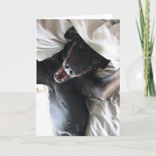 Cartão Gabby the Rescue Dog Selfie Greeting Card