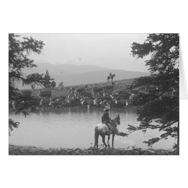 Cartão Gado por uma lagoa com dois vaqueiros (Frente Horizontal)