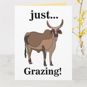 Cartão Gado Zebu Vaca Animal