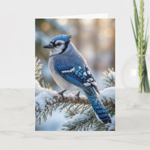 Cartão Gaio-azul de Natal em um Pinheiro Nevado