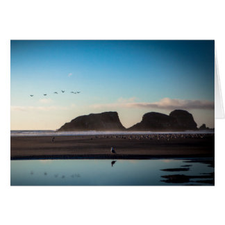 Cartão gaivota