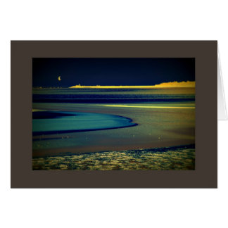 Cartão Gaivota à beira-mar