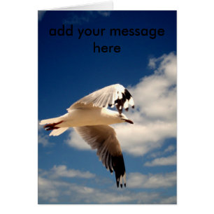 Cartão Gaivota branca,