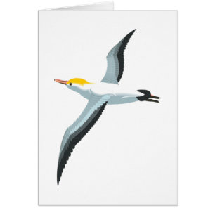 Cartão Gaivota do vôo