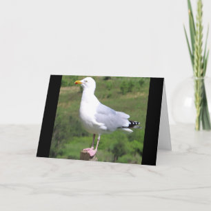 Cartão Gaivota Personalizável em Pé sobre Poste de Saudaç