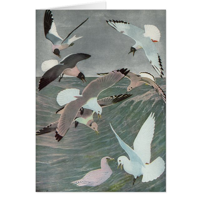 Cartão Gaivotas sobre Ondas Oceânicas por Louis Agassiz F (Frente)