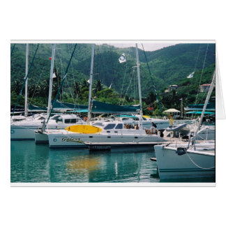 Cartão Galáxia em Nanny Cay-Tortola