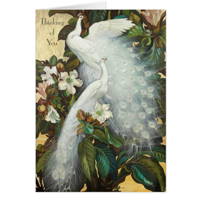 Cartão Galeria Branca de Peacocks (Frente)