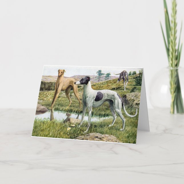 Cartão Galgo (Frente)