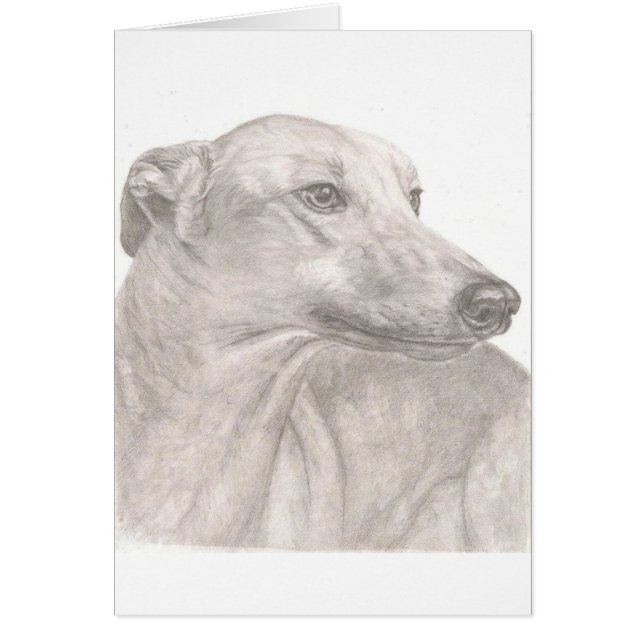 Cartão Galgo (Frente)