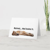 Galgo de GVV aposentado e que ama o