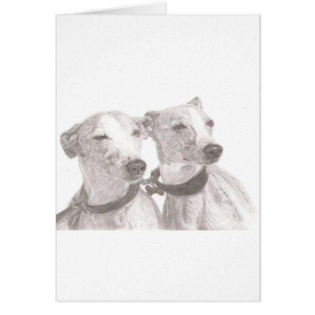 Cartão Galgos (Frente)