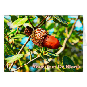 Cartão Galilee Acorn