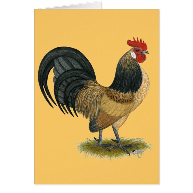 Cartão Galinha anã holandesa:  Galo azul das codorniz (Frente)