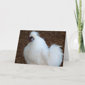 Cartão Galinha branca de Silkie