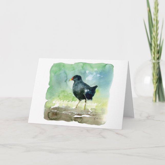 Cartão galinha-d'água comum (Frente)