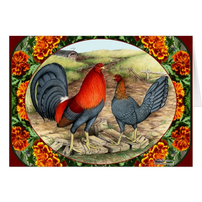 Cartão Galinha de jogo bonita (Frente horizontal)