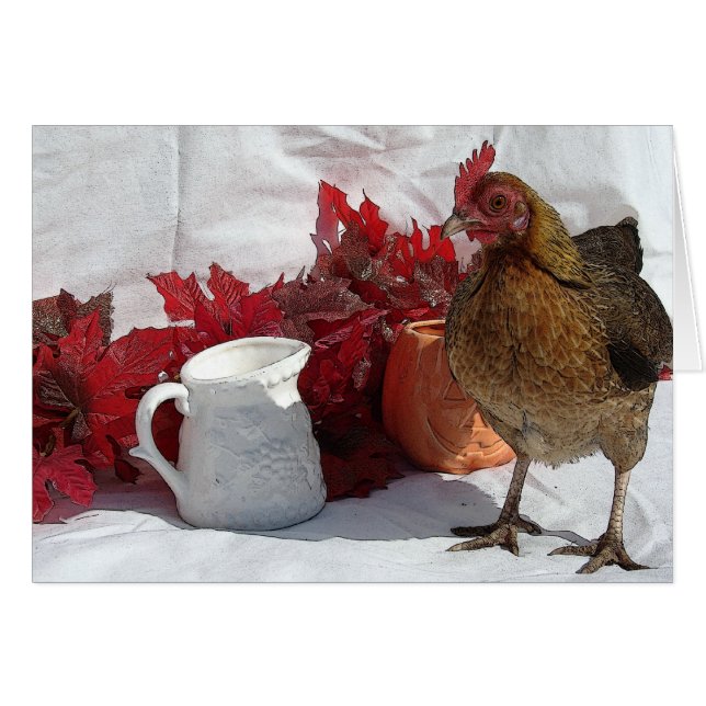 Cartão Galinha de Queda (Frente Horizontal)