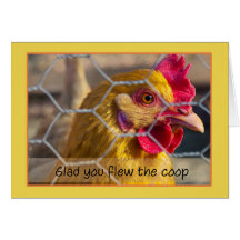 Galinha na cerca contente você voou a capoeira