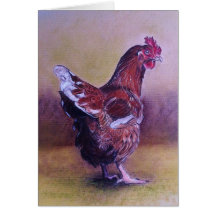 Galinha pequena de Brown