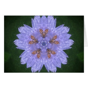 Cartão Galinhas Com Abelhas