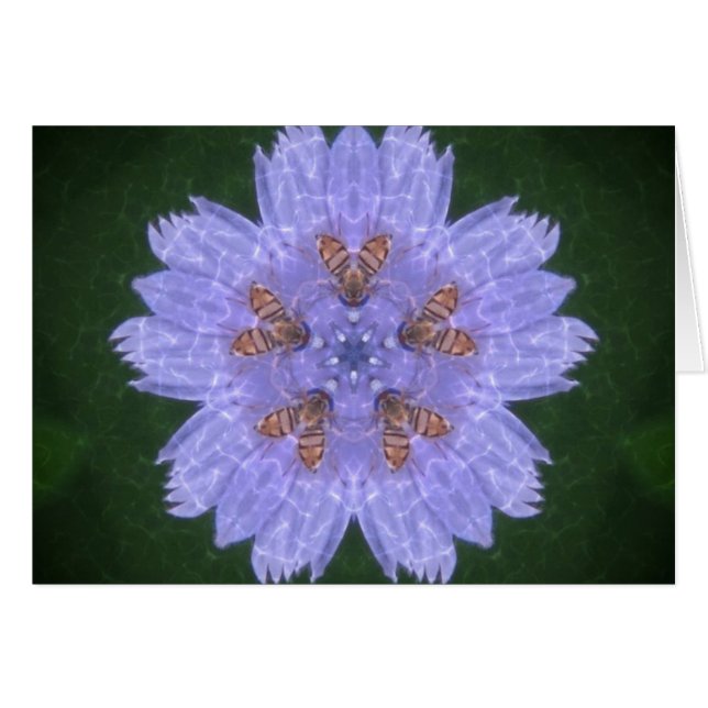 Cartão Galinhas Com Abelhas (Frente horizontal)