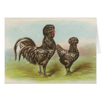 Cartão Galinhas de Graham - de Houdan