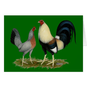 Cartão Galinhas douradas de Duckwing