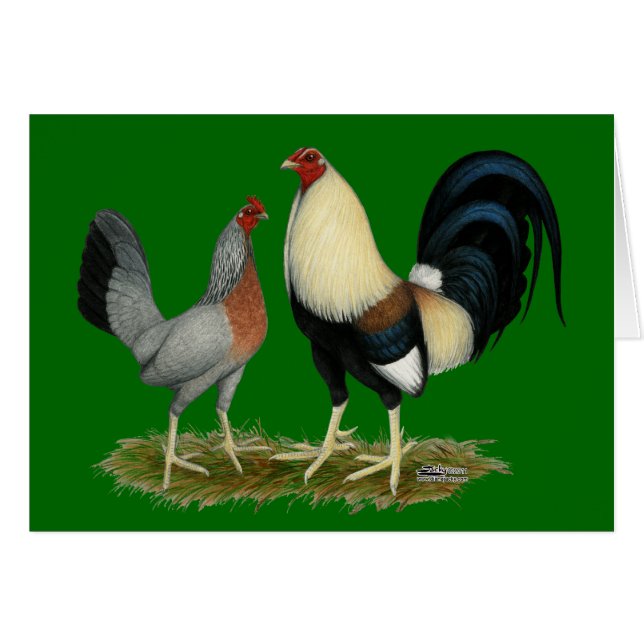 Cartão Galinhas douradas de Duckwing (Frente horizontal)